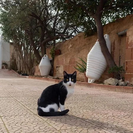 La Porta Sul Mare - Ancora Mola di Bari